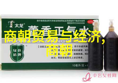明朝那些事儿中的社会经济成就又是怎样形成的