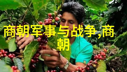 明朝历史朝代排名顺序表中国古代的丰富历史