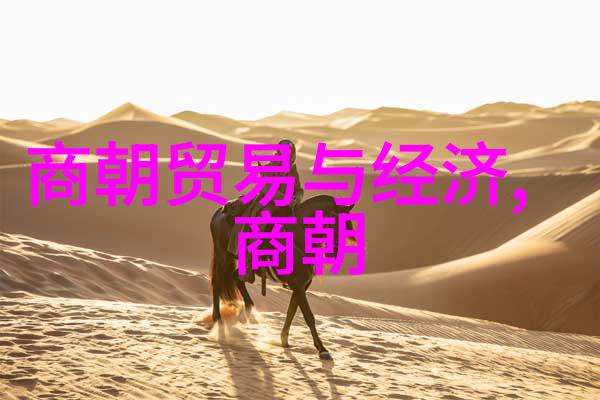 辽金为什么不列入正史咱们来探个究竟吧辽金历史的遗忘之谜