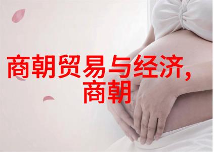 岁月的交响明朝秘史之音
