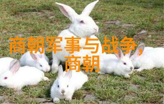 朱允炆与朱棣两位皇帝的对比与冲突
