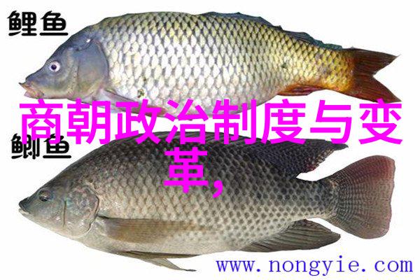 孟丽君黄梅戏中的花旦也如同春天里绽放的第一朵梅花清新而又独特
