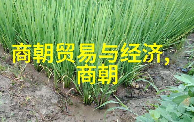 古代著名书法家有哪几位鲁进财似行走的墨迹流传千古