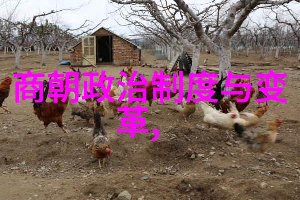 元代对外扩张的策略与成就