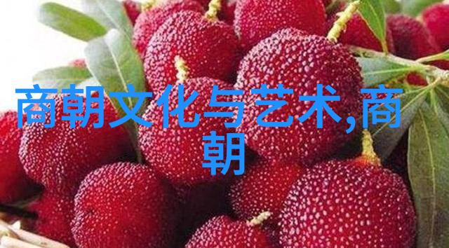 穿越时光中国近代历史小故事书籍中的传奇与真实