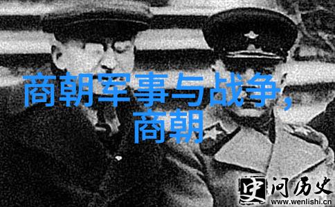 清朝的前夜慈禧太后与光绪帝的历史交响
