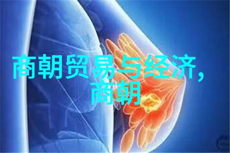 北元灭亡后明朝是如何处理其遗留问题的以确立自身正统性的