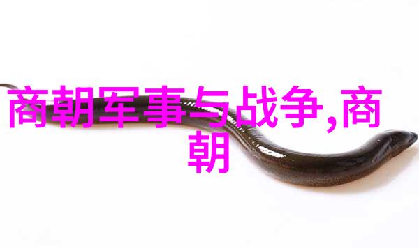 明代历代族谱研究家族传承与社会变迁的考古学探究