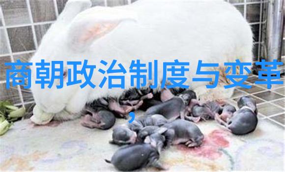 明朝商屯若人讲述其特点之事