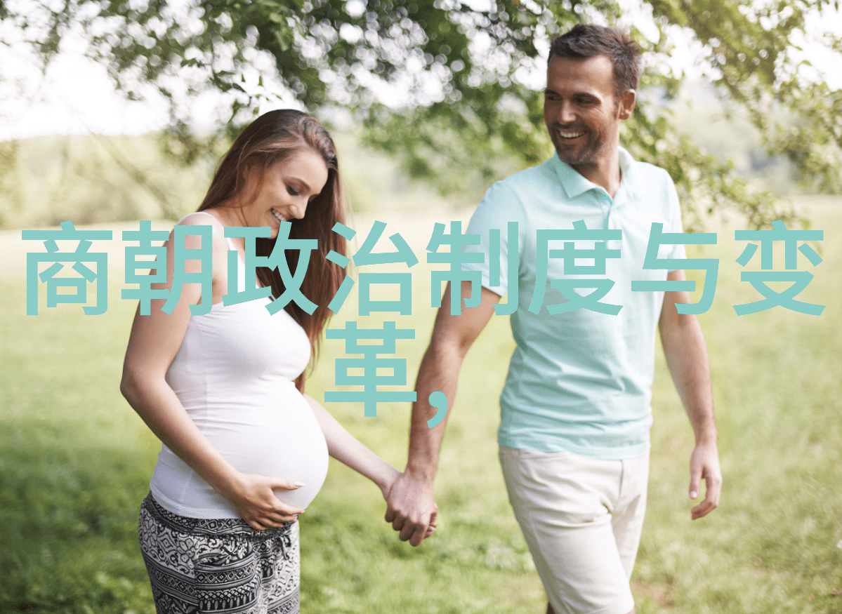 中国皇朝序列考辨从黄帝时期至清末的王权变迁与政体演变