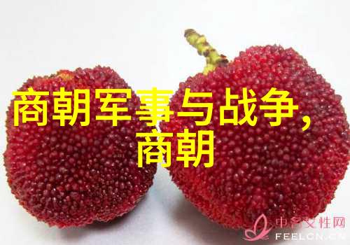 吴青云星科研plc培训