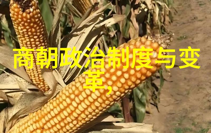 中国古代政治体系演变历程中有哪些关键节点对于现代政治体制产生了深远影响
