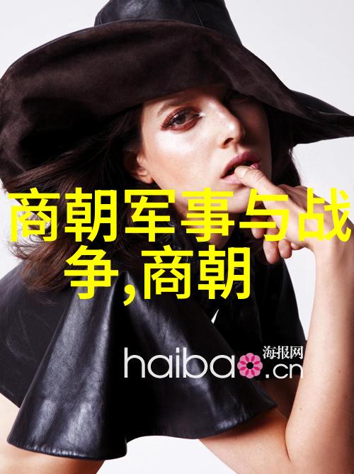 明朝的阴影探索黑暗这一历史定性