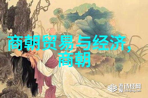 从唐宋到清历史的长河探索明朝之后的中华帝国
