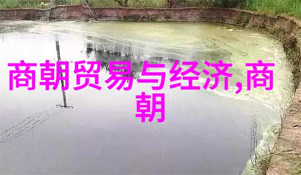 徐志远女驸马与黄梅戏的旋律之声