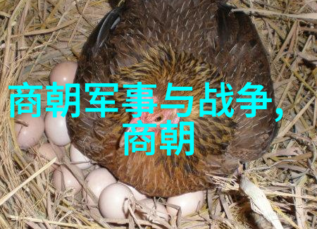 明朝庆功阁二十四功臣铸就辉煌的历史篇章