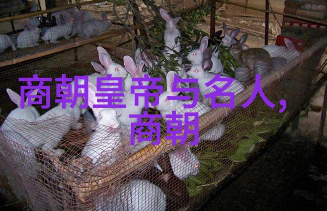 从权倾朝野到隐居田园历史名人的逆袭与淡泊