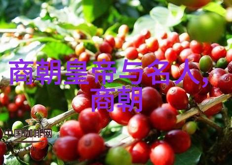 唐代宗唐朝好男人与古籍宝卷的共鸣