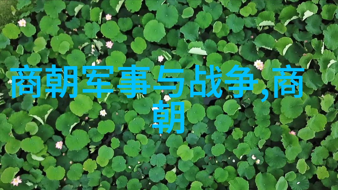 天界的孤儿