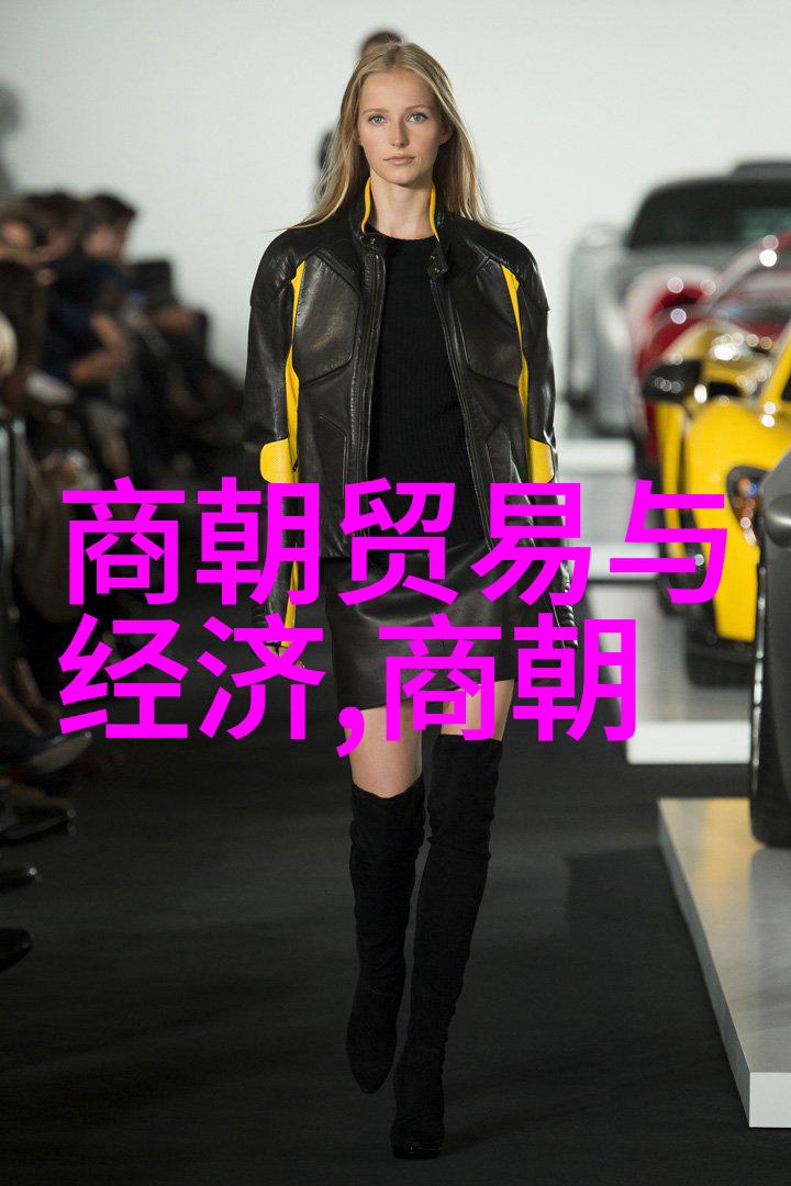 大明帝国的兴衰之谜历史学家们为何对其治世而作猜测