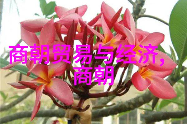 明朝风云龙凤呈祥的盛世秩序