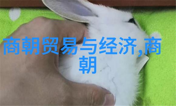 明代数学家刘伯温晚年困顿原因探究疾病政治斗争与个人选择的交织