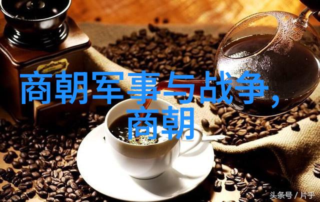元朝废除了什么皇帝的刮刀揭秘元朝那些被割掉的法规