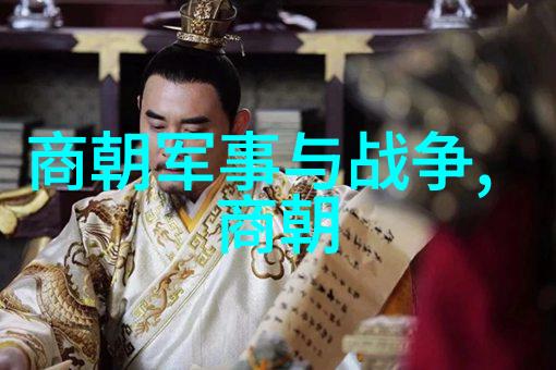 明朝风华中的暗影守护者
