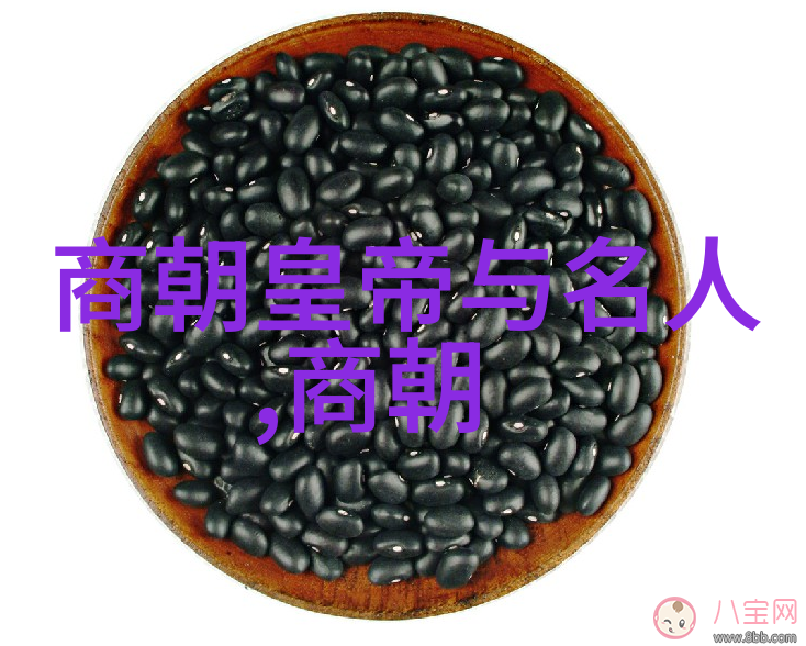 后宫里的阴影心理压力对乾隆后代健康影响研究