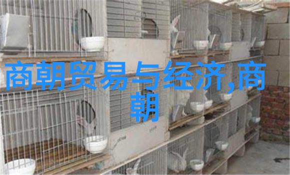 明清交替下的历史垃圾辨析两朝遗留问题