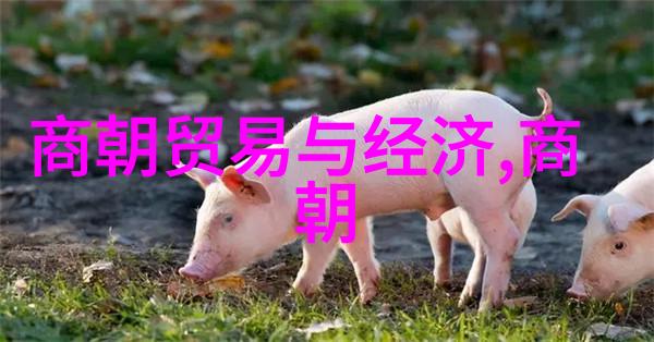 主题从古至今的5000年历史我亲眼见证的人类故事