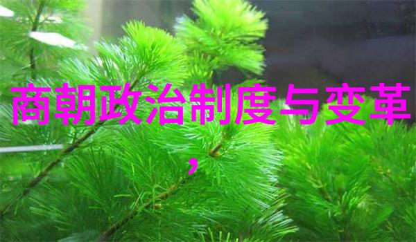 东汉末年到西晋开国五世而换历经百余年