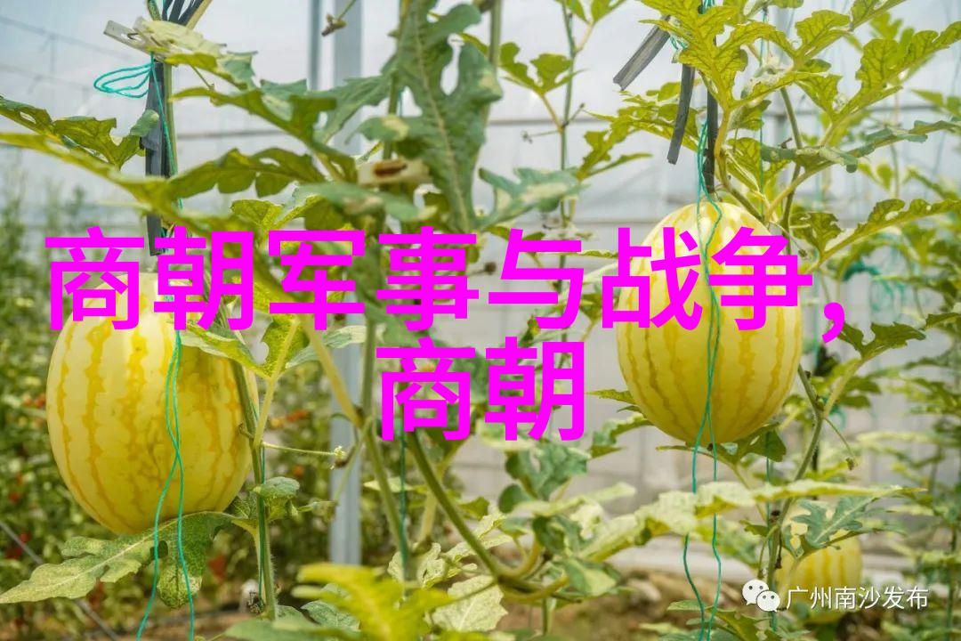 朱元璋篡位之谜为何不选择朱棣
