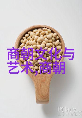 一个家族的辉煌从忽必烈到脱脱的元朝政权建设