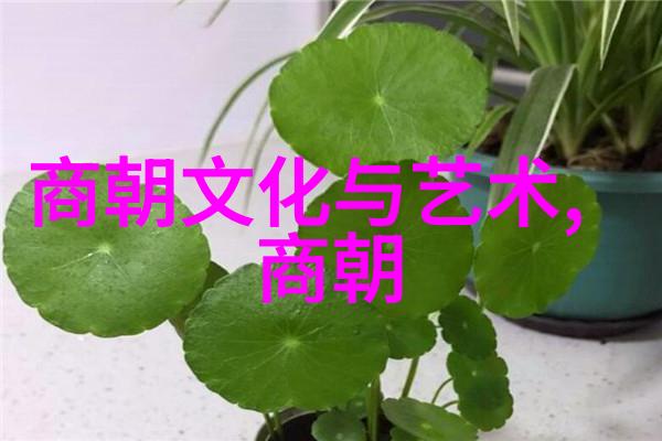 后四小名旦谁能继承宋德珠的光芒