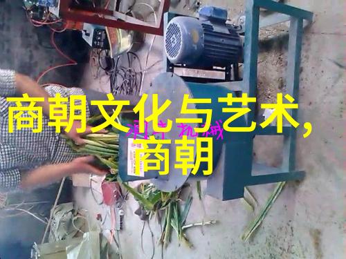 伯颜中国元代四大名人的典范人物