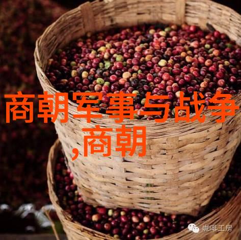 明朝覆灭权臣专权与外患叠加的末日