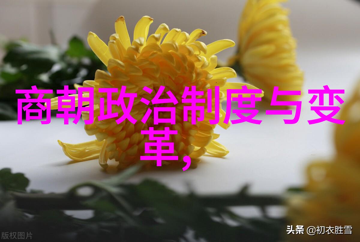 黄梅戏女驸马选段蔡郎哥哥要离去如同春雨中散落的花瓣各自归其原处