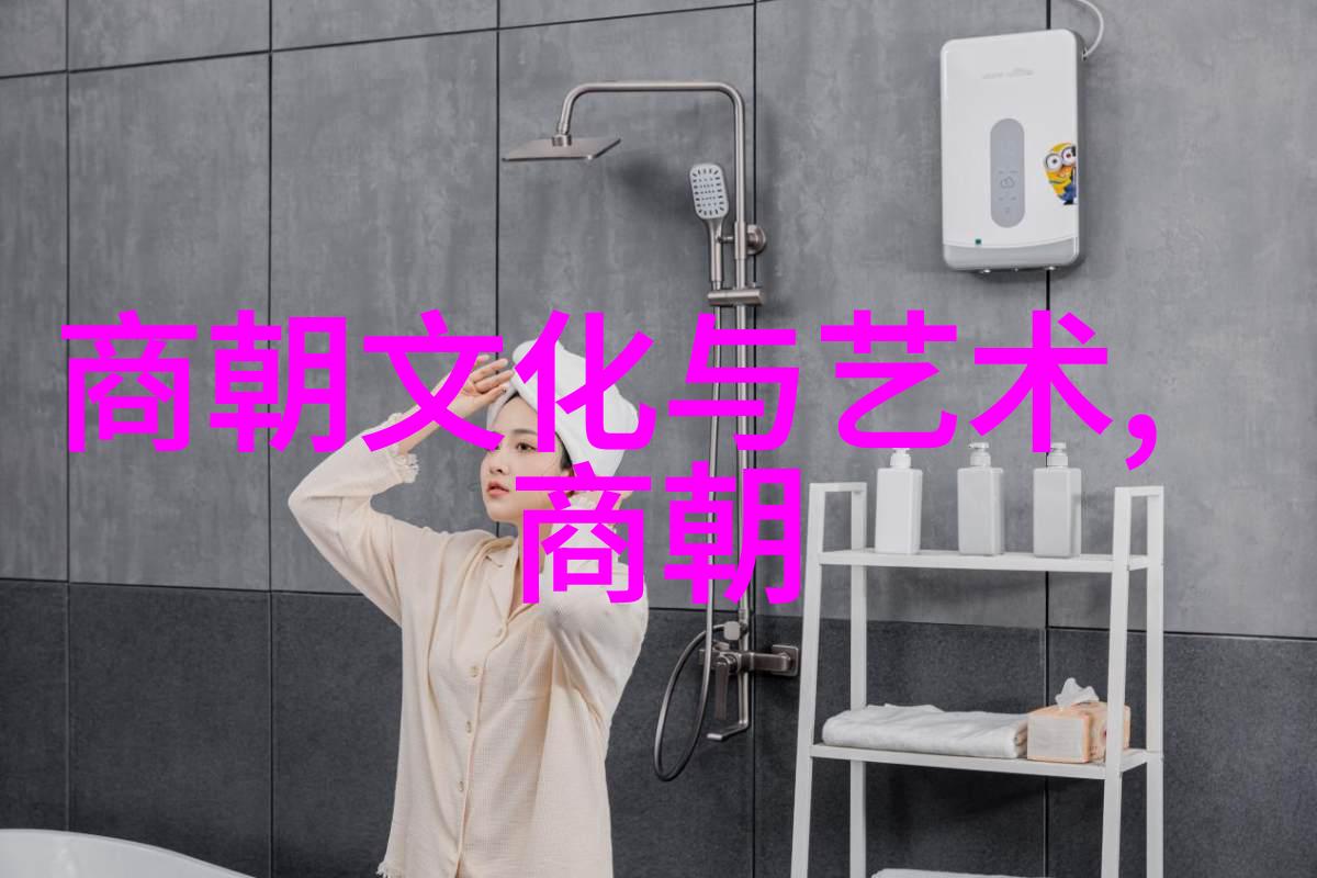 大清朝盛世中国明清时期的繁荣与文治