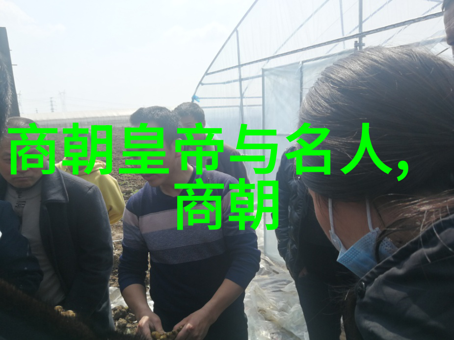 亡国之机兴国之因土木堡对明朝命运的重塑