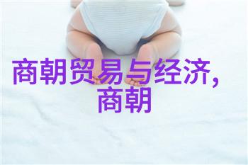 穿越时空的轮回历史朝代的演绎与变迁