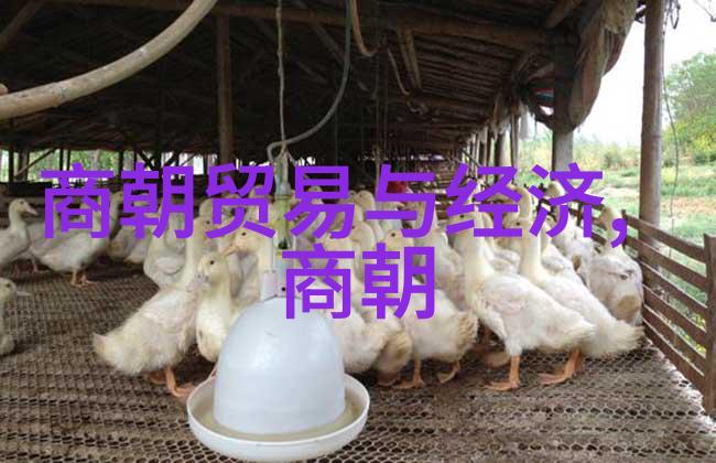 唐朝的辉煌与世界之巅当代文明的排位之谜