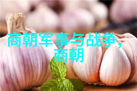刘伯温中国明朝时期著名的数学家天文学家与地理学家