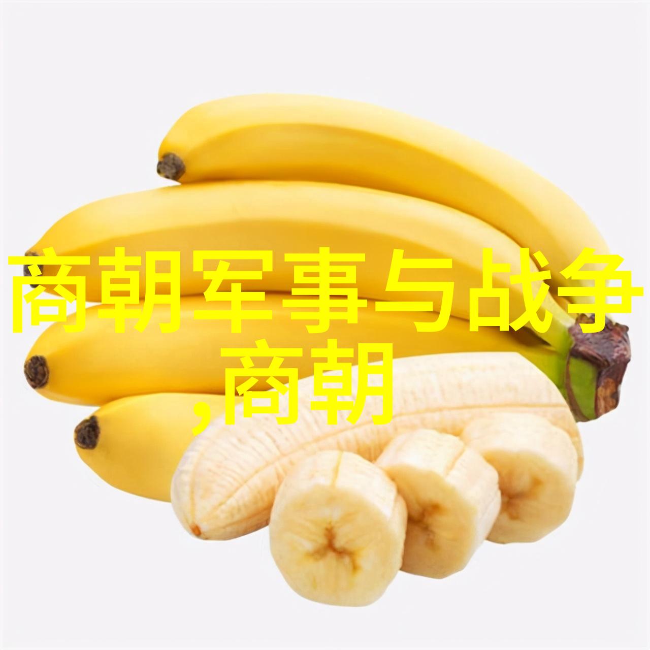 元朝如何灭亡的-辽阔帝国的衰落探究元朝覆亡的历史原因