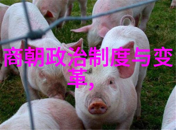 中国四大名人的书画作品在金风送墨香文化盛会上展出临沂市工商联文化产业商会的代表们与书画家一同品鉴