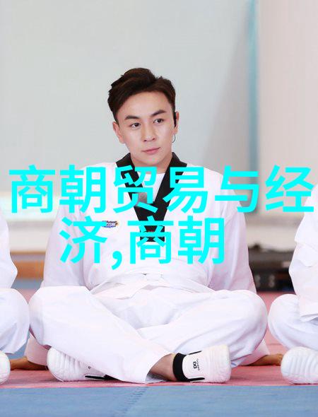 周放谈论太极拳与养生之间的关系