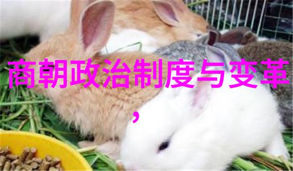 两宋盛世南北分裂的历史篇章