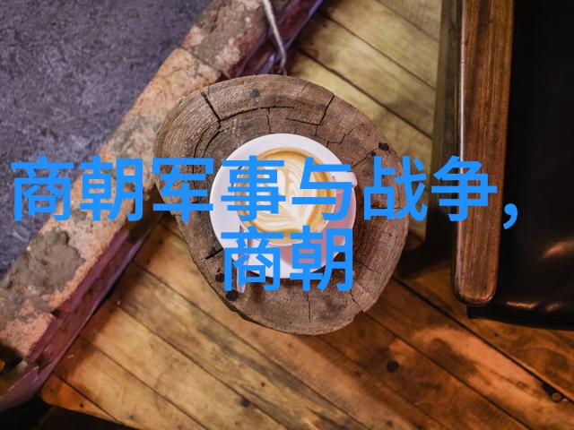 杨载历史的长河中一位时代的指挥者