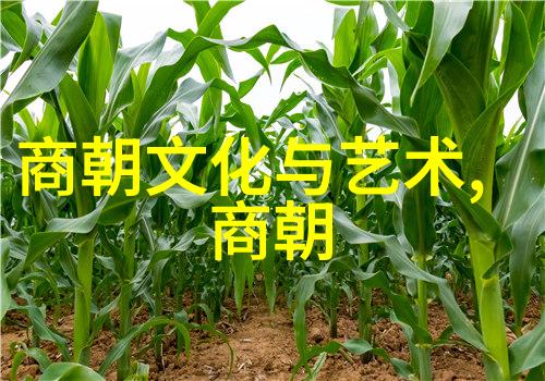 文武双全评估古代帝师在选官用人中的作用