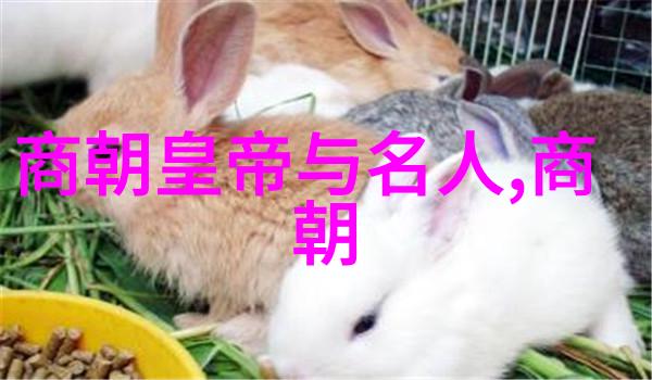 南明灭亡之后还有小朝廷-流散的江山南明遗民与残存朝廷的最后一刻